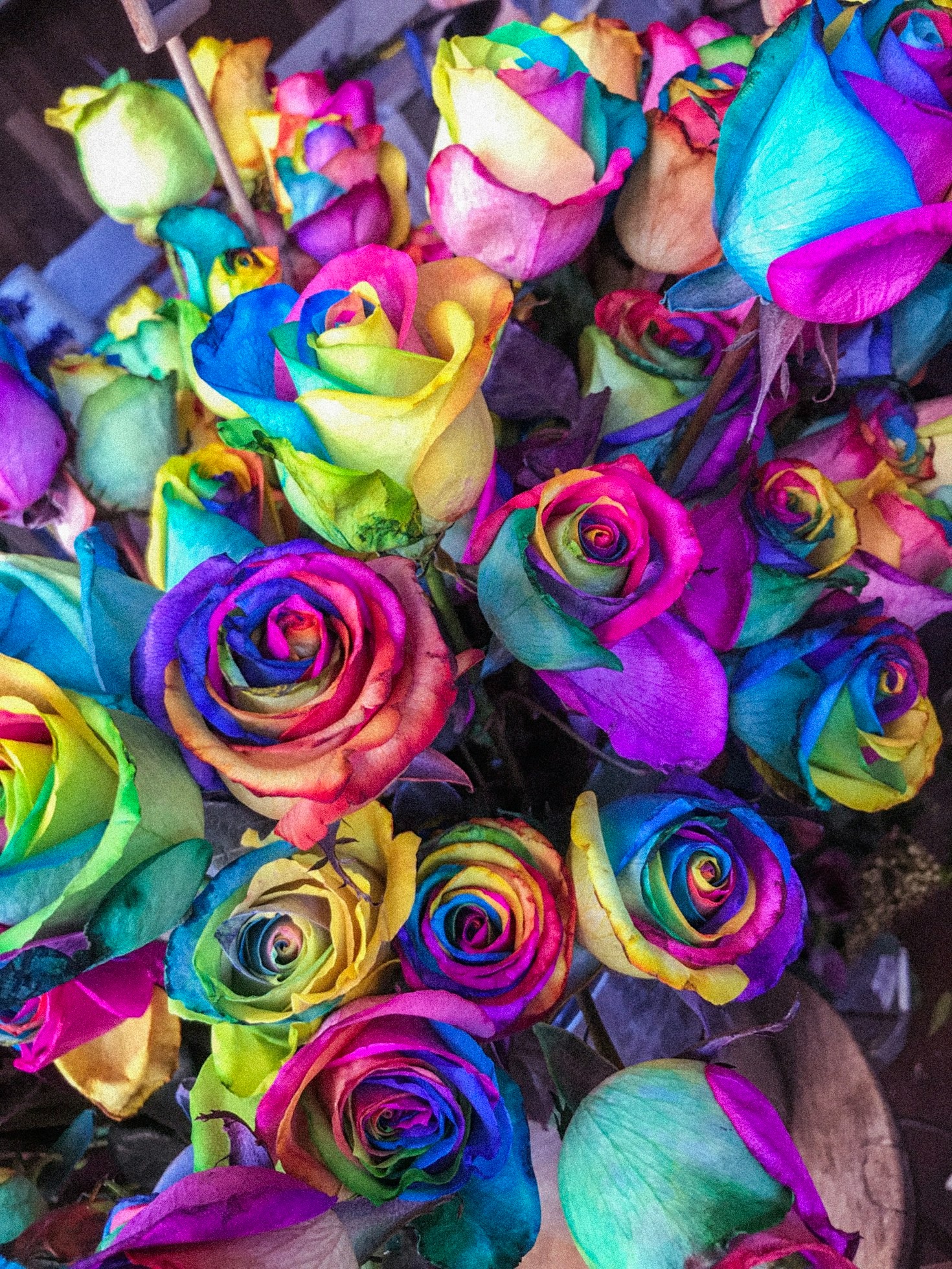 Read more about the article The Science Behind Healthy and Vibrant Flowers